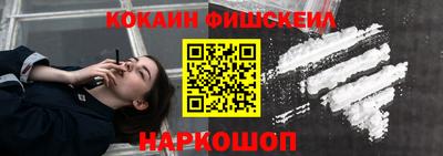 гидра Будённовск