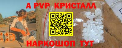 гидра Будённовск