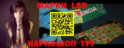 гидра Будённовск