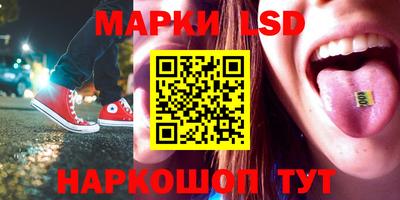 гидра Будённовск