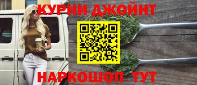 гидра Будённовск