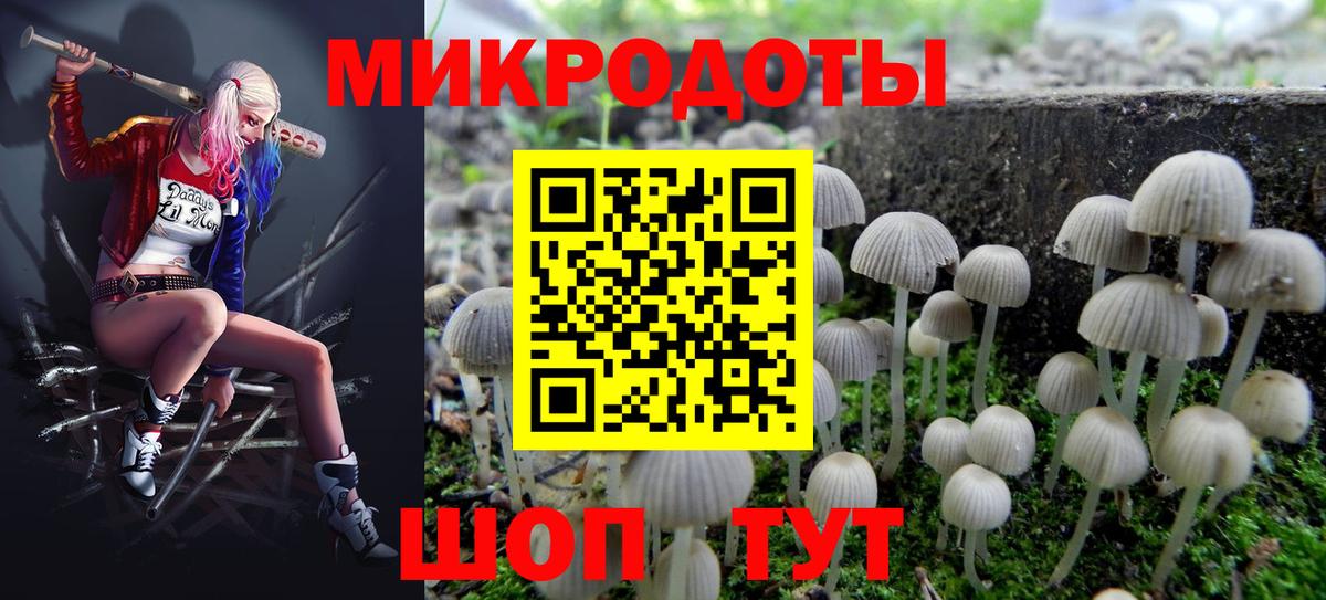 купить наркотик  Псилоцибиновые грибы Psilocybe  Вход с VPN  Салават 