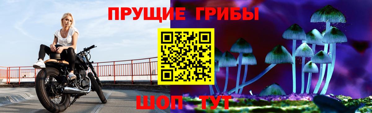 Галлюциногенные грибы Psilocybine cubensis Салават